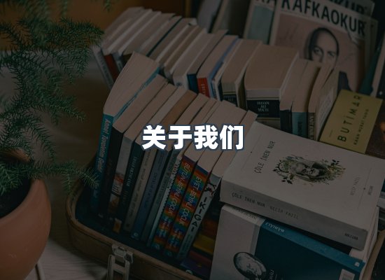 专业团队